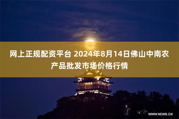 网上正规配资平台 2024年8月14日佛山中南农产品批发市场价格行情