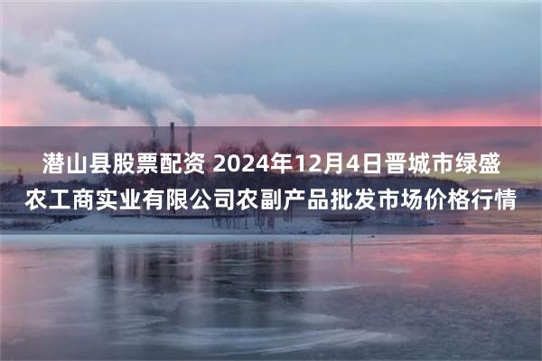 潜山县股票配资 2024年12月4日晋城市绿盛农工商实业有限公司农副产品批发市场价格行情