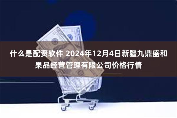 什么是配资软件 2024年12月4日新疆九鼎盛和果品经营管理有限公司价格行情