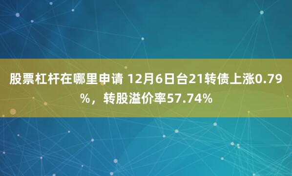 股票杠杆在哪里申请 12月6日台21转债上涨0.79%，转股溢价率57.74%