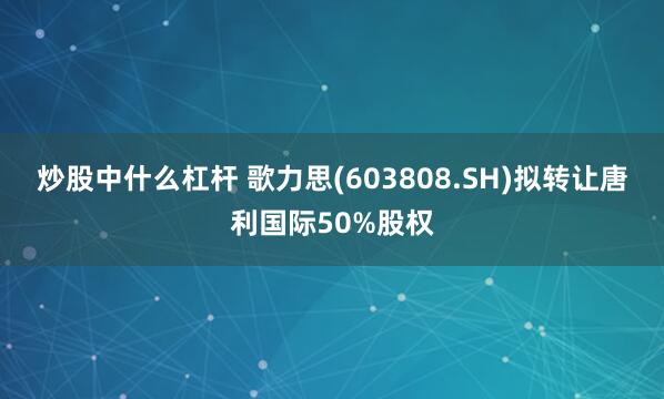 炒股中什么杠杆 歌力思(603808.SH)拟转让唐利国际50%股权