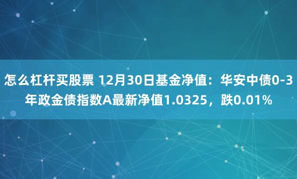 怎么杠杆买股票 12月30日基金净值：华安中债0-3年政金债指数A最新净值1.0325，跌0.01%