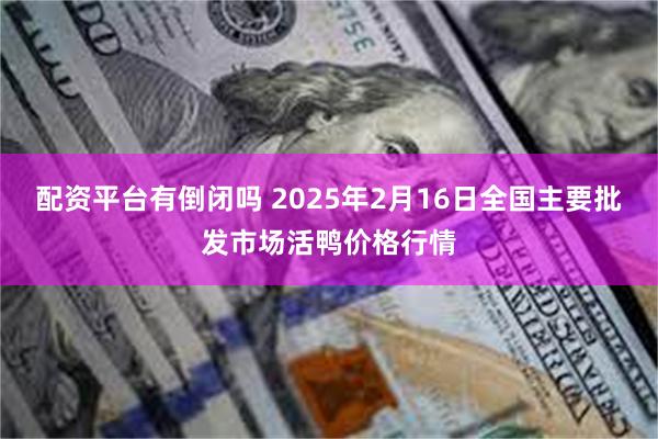 配资平台有倒闭吗 2025年2月16日全国主要批发市场活鸭价格行情