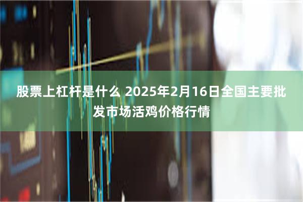 股票上杠杆是什么 2025年2月16日全国主要批发市场活鸡价格行情