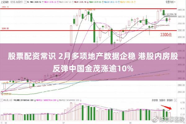 股票配资常识 2月多项地产数据企稳 港股内房股反弹中国金茂涨逾10%